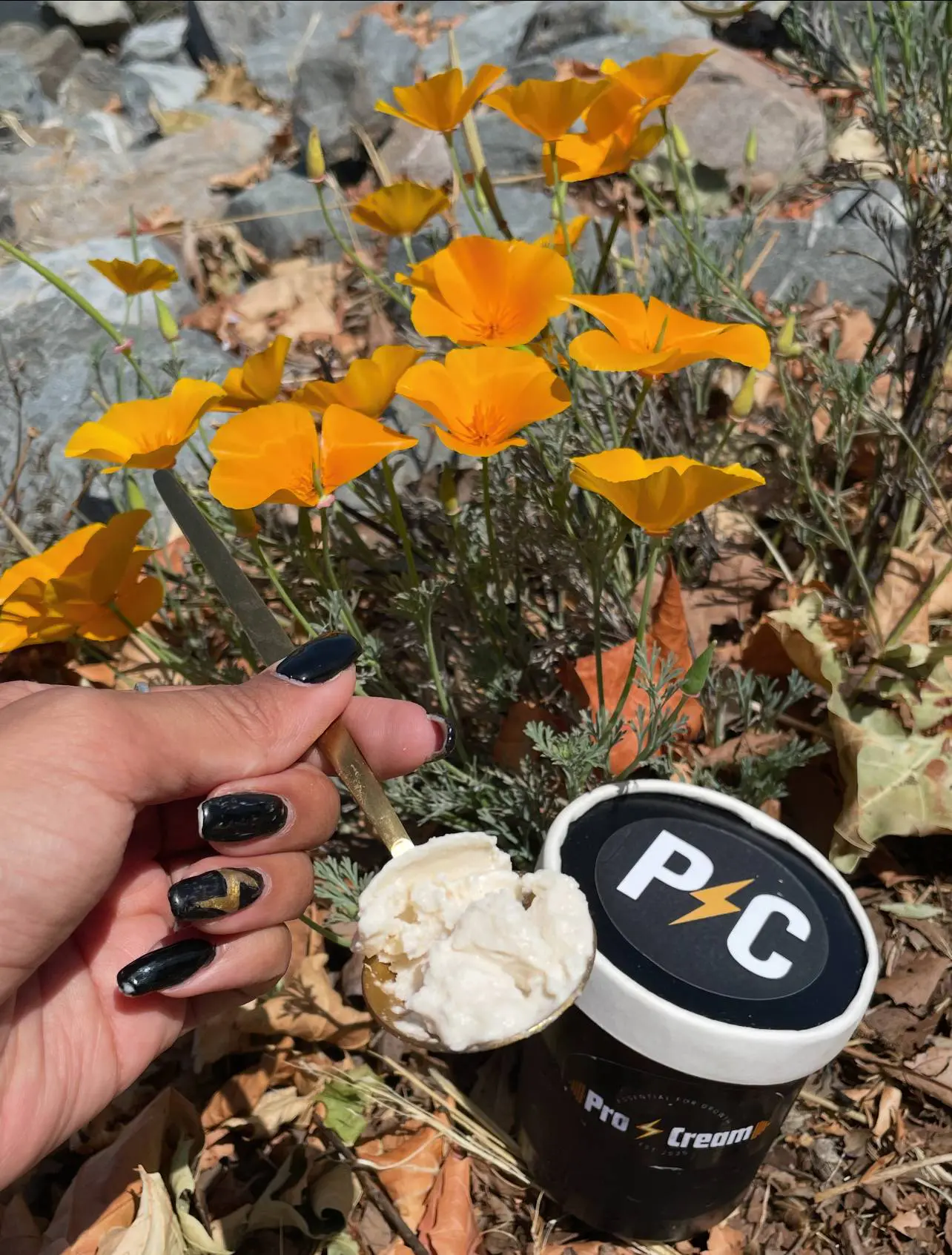 Hand holding orange poppy flowers with a small container of cream.